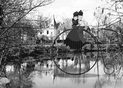 P&eacute;tales de r&ecirc;ve au bord de l'eau